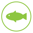fisk.png fisk.png